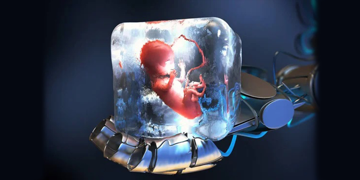 Frozen embryo