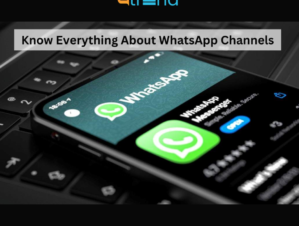 WhatsApp’s New Channel Feature | Blog with Trends